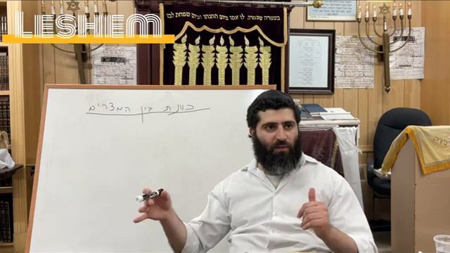 Kavanot of The 3 Weeks - Ben Hamitzarim - Rav Shalom Gadaev 5782 смотреть онлайн