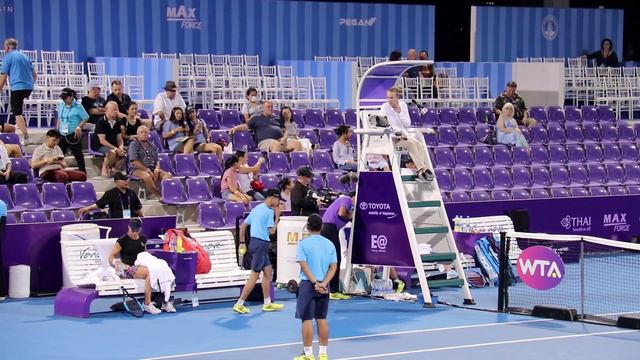 SS NICULESCU VS LINETTE 31 01 62 смотреть онлайн