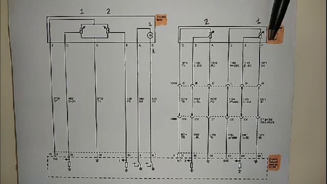 THROTTLE BODY & APP SENSOR SCHEMATIC WIRING DIAGRAM (CHEVROLET TAHOE 2008) смотреть онлайн