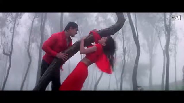 Jo Haal Dil Ka   Aamir Khan   Sonali Bendre   Sarfarosh Movie   Alka Yagnik   Kumar Sanu   90s Hits