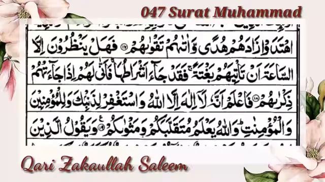 047 surat Muhammad by Qari Zakaullah Saleem смотреть онлайн