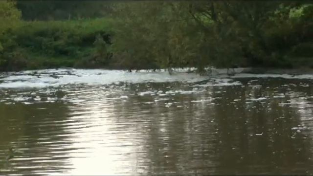 DORSET STOUR - STURMINSTER NEWTON - POLLUTION INCIDENT смотреть онлайн