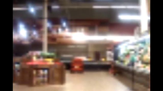 Brenner Vlog 2