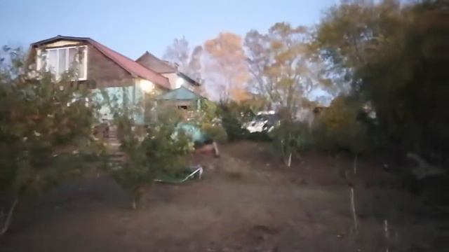 11.10.21.Как стало после покоса. Тример, леской.+79241232444 Стороженко Владимир.