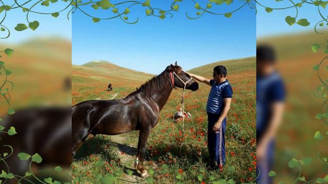 27 декабря 2022 г. смотреть онлайн