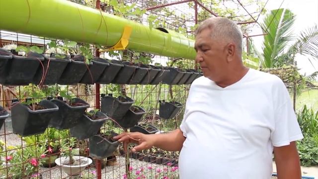 MANa: Strawberry Farm Ng Central Luzon | Episode 6 Season 2