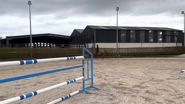 Roger Training At Home