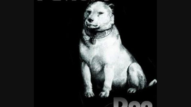 PAVLOV'S DOG (DAVID SURKAMP) INTERVIEW @ 'Kanaliena.gr' PART 2 / DIMITRIS ANTONOPOULOS - ROCKZONE смотреть онлайн