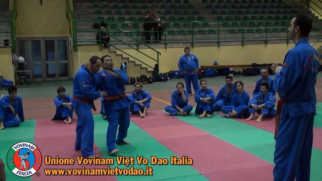 Vovinam Viet Vo Dao, GM Nguyen Van Chieu in Italy 2012 смотреть онлайн