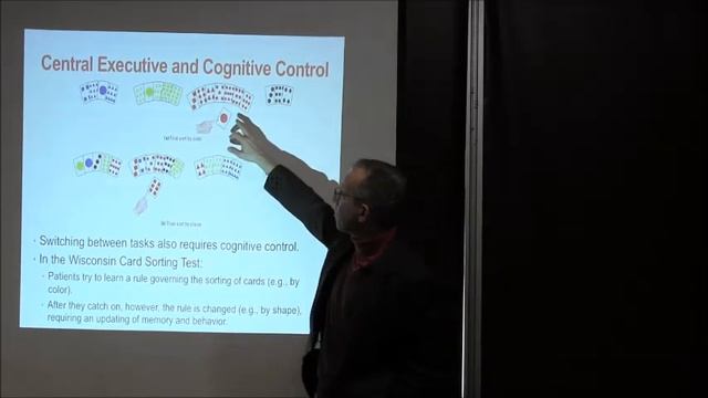 Chapter 9: Working Memory And Cognitive Control