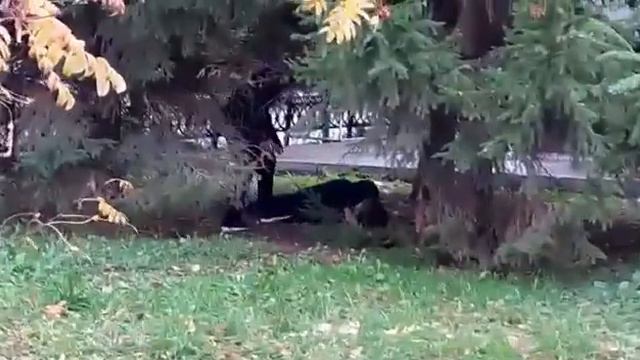 Очень культурный город смотреть онлайн