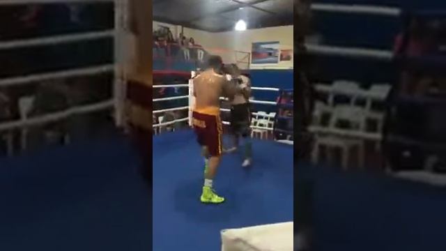 Carlos Ailton "Falcâo" Nascimento vs. Walter David "El Pájaro" Cabral смотреть онлайн
