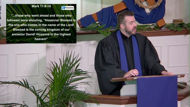 Palm Sunday смотреть онлайн