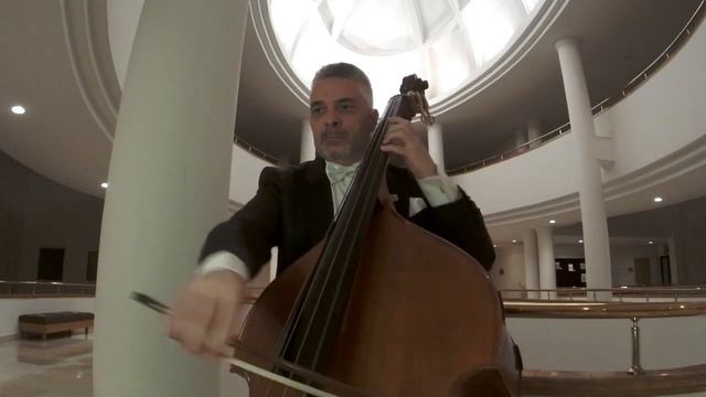 Domenico DRAGONETTİ - Twelve Waltzes