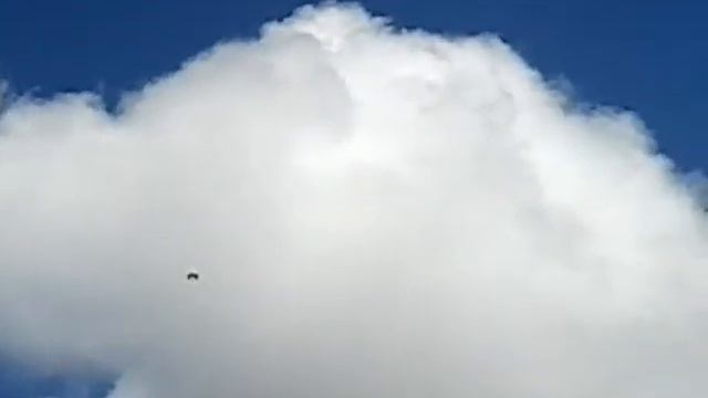 SMP ANGKASA LANUD PATTIMURA смотреть онлайн