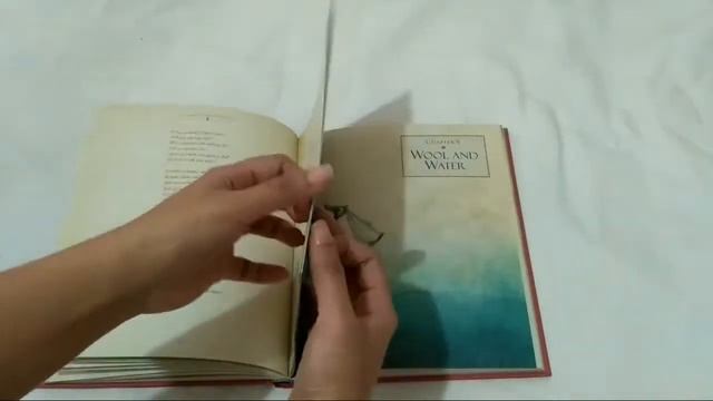 Alice Through The Looking-Glass Illustrated By Robert Ingpen (Preview) | Booktube Indonesia