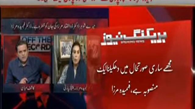 I Have Felt Threatened By Government: Fehmida Mirza