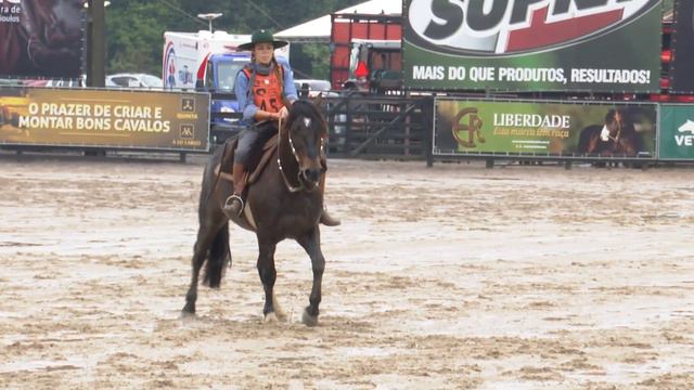 Sinthia Shuster - Freio de Alpaca Juvenil Feminino смотреть онлайн
