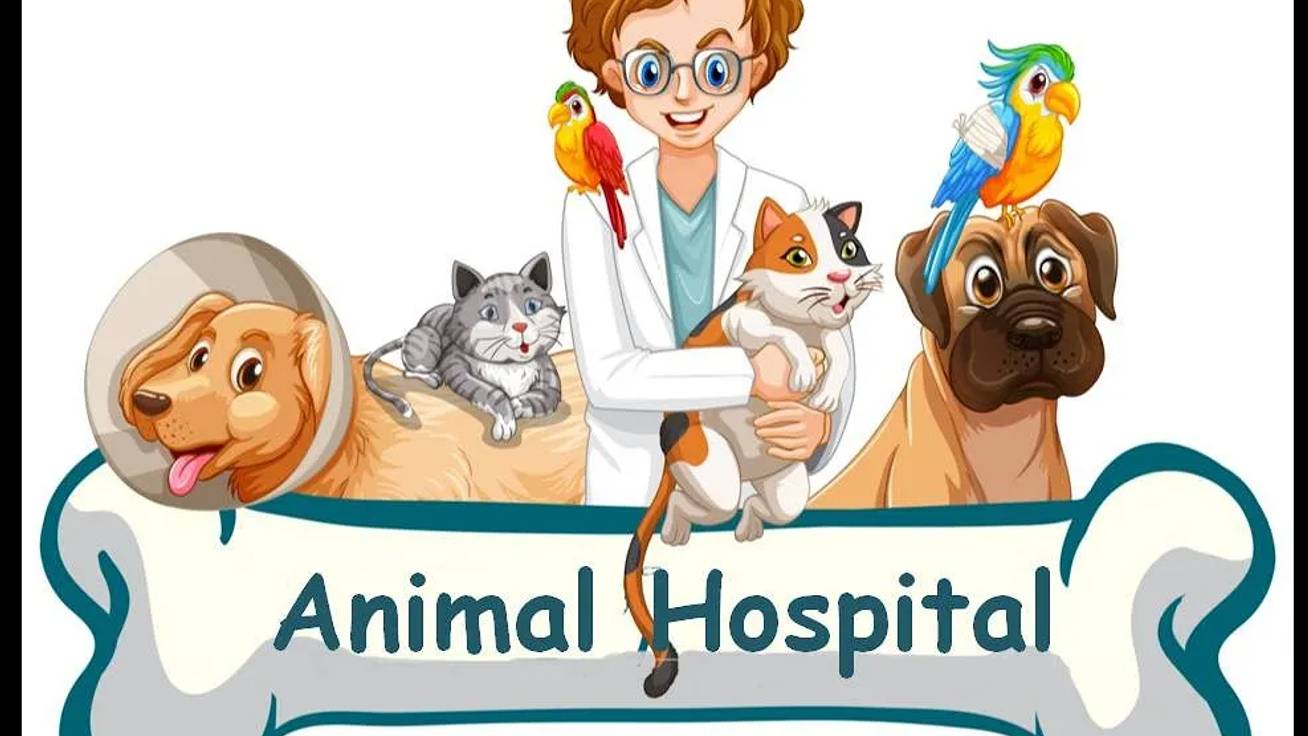 #Spotlight 4. THE ANIMAL HOSPITAL. #Лексика по теме _Город_City_. Present Simple смотреть онлайн