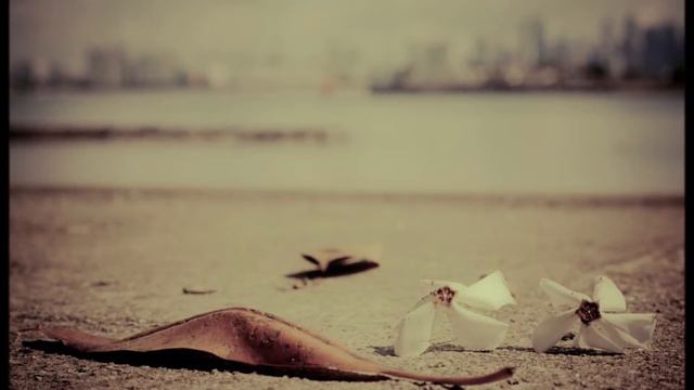 Feist - A Man Is Not His Song (Lyrics) смотреть онлайн
