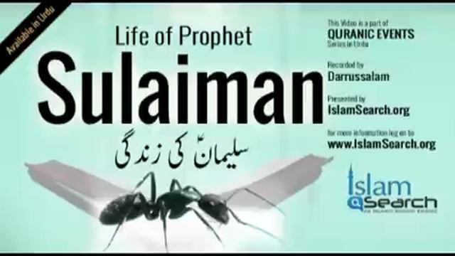 Hazrat Sulaiman (a) ka Qissa - Story of Prophet Sulaiman in Urdu - Qisas ul Anbiya - IslamSearch смотреть онлайн