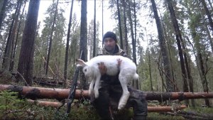 В ИЗБУ(1часть). ШИКАРНАЯ ОХОТА НА ЗАЙЦЕВ