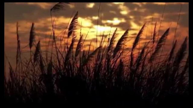 Midweek Musical Meditation: May Night by Selim Palmgren смотреть онлайн