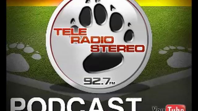 PODCAST 23.01.2016 MIMMO FERRETTI смотреть онлайн