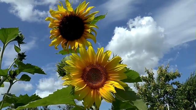 НА МОРСКОМ ПЕСОЧКЕ смотреть онлайн