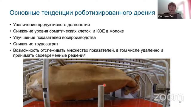 Организация кормления на роботизированных системах доения