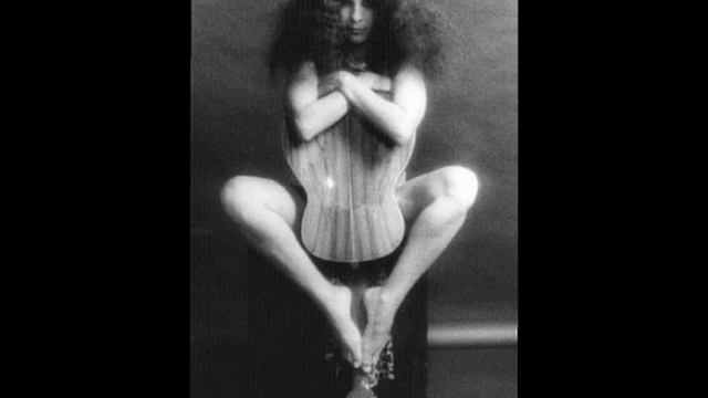 Sua Estupidez   Gal Costa