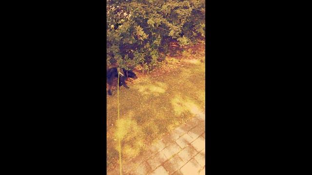 Elon Monti - Du Var den bedste смотреть онлайн