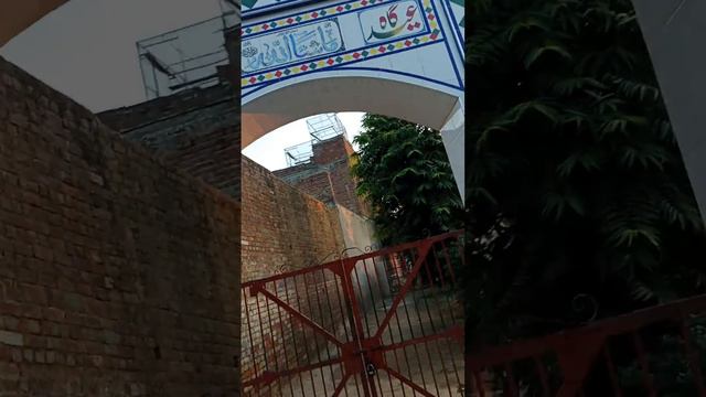 Mara pand thatha Musa 🥰🥰🥰 смотреть онлайн