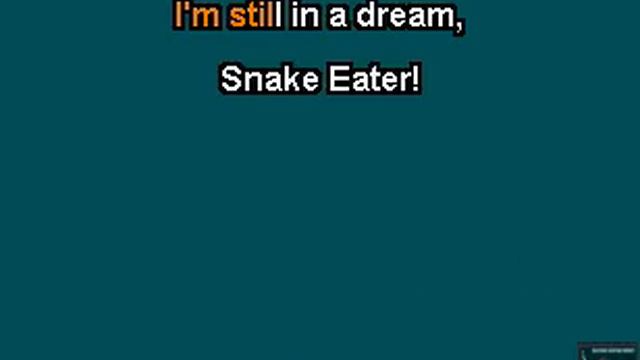 Donna Burke - Snake Eater NERD KARAOKE