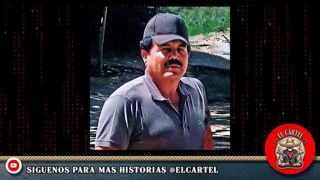 "Del Mayo traemos la bandera". El Panter se burla y envía mensaje a Los Jaliscos. смотреть онлайн