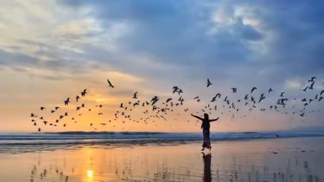 Maestro Ezio Bosso - Following a Bird *💚 смотреть онлайн