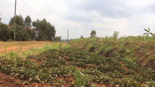Saying goodbye to Sano and Veneranda in Jali, Rwanda смотреть онлайн