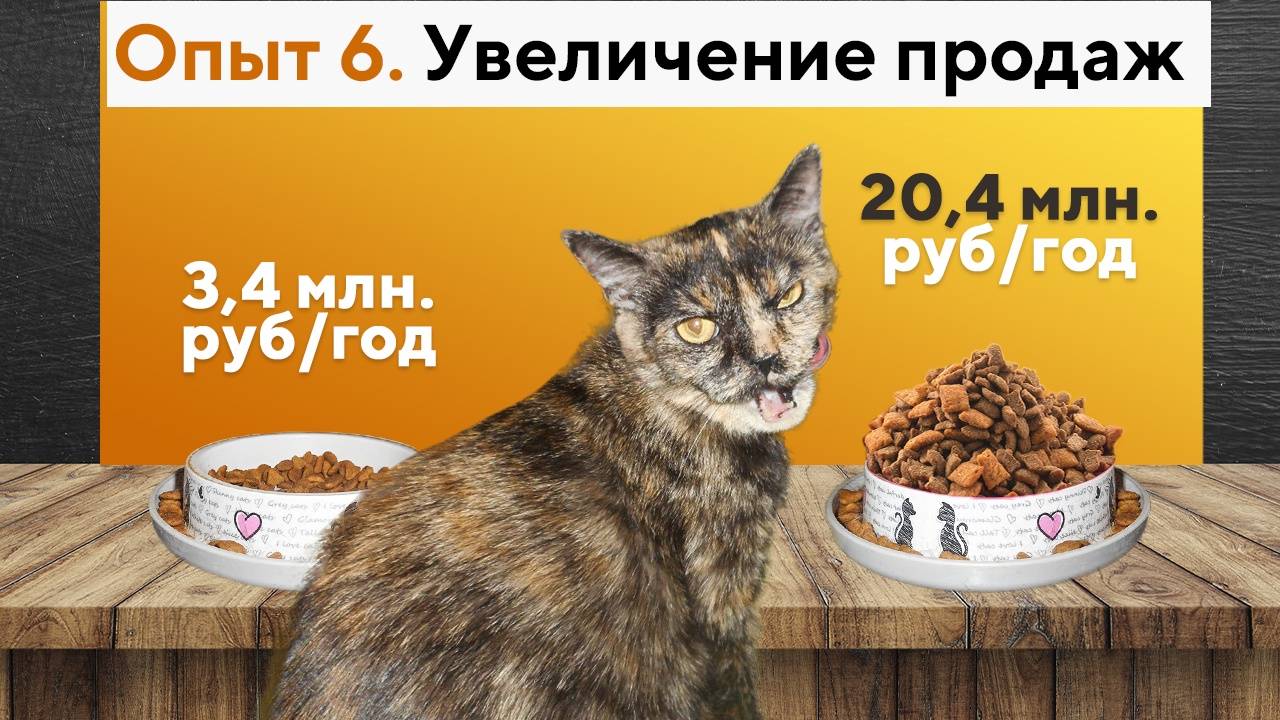 Продвижение интернет-магазина рост продаж с 3,4 млн/год до 20,4 млн/год в интернет-магазине. смотреть онлайн