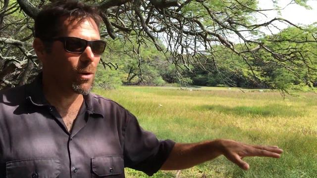 Scott Fisher at Nu‘u fishpond смотреть онлайн