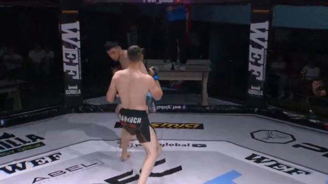 WEF126 PROFFIGHT53 Тообаев Элдияр 🇰🇬 vs Хабибуллаева Азизбека 🇺🇿 смотреть онлайн