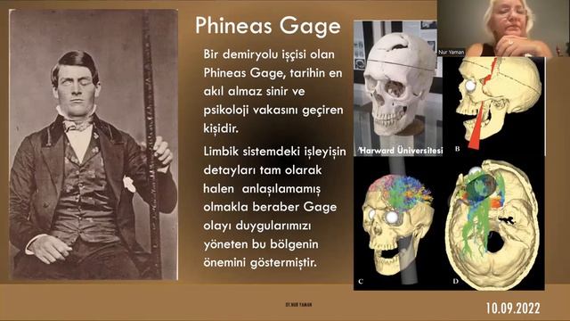 Yürüyüş Tr 10 09 2022 Dr Nur Yaman Mimikler