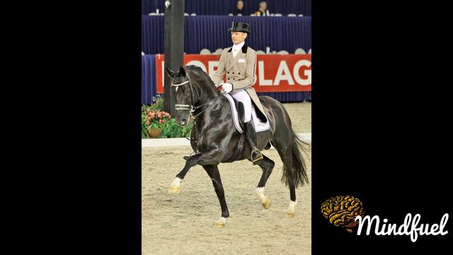 Edward Gal Documentary