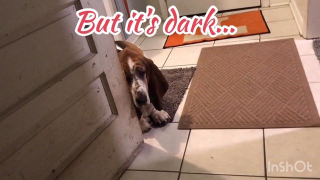 It’s Time for Bed, Bassets смотреть онлайн