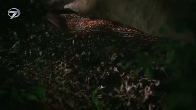 ESARET 131 - Kenan visita Orhun no hospital. Estou aqui mano. смотреть онлайн