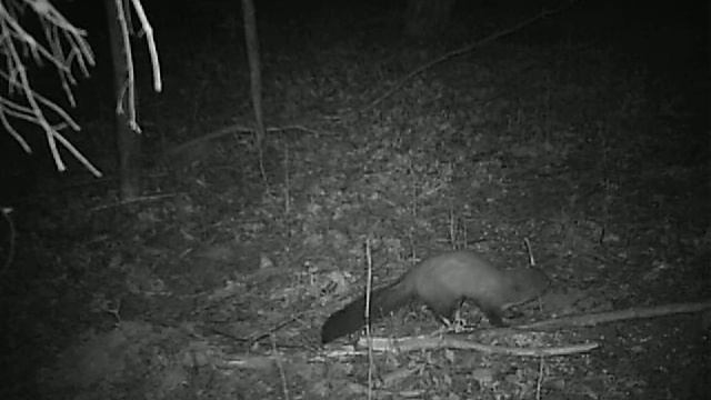 PRMS0004.AVI смотреть онлайн