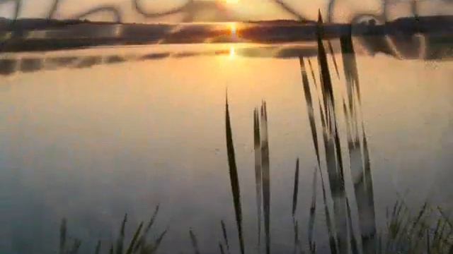 Elio  Max - September Morn