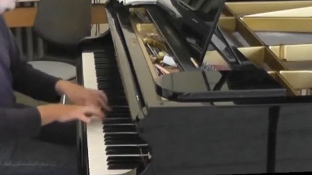 "Flight of the Bumblebee" ("Hummelflug")Rimsky-Korsakoff (arr. Cziffra) смотреть онлайн