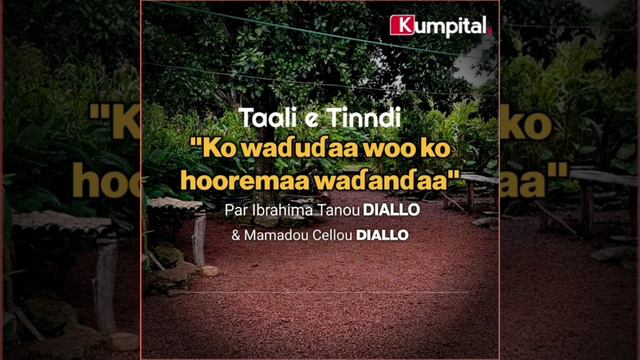 Taali e Tinndi e haala Pulaar | Ko waɗuɗaa woo ko hooremaa waɗanɗaa смотреть онлайн