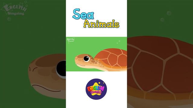 Kids vocabulary - Sea Animals смотреть онлайн