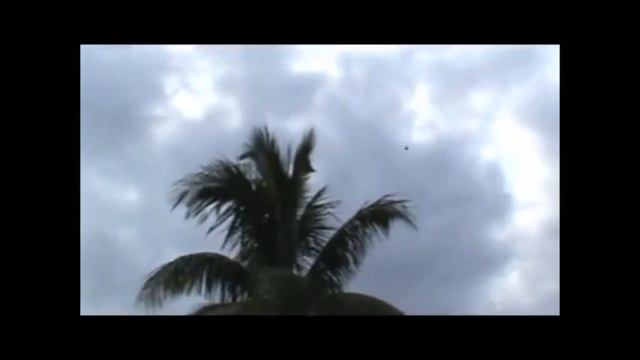 El azulito de David Linares смотреть онлайн